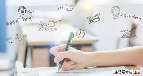 網絡文化經營中的軟文寫作藝術 技巧與策略